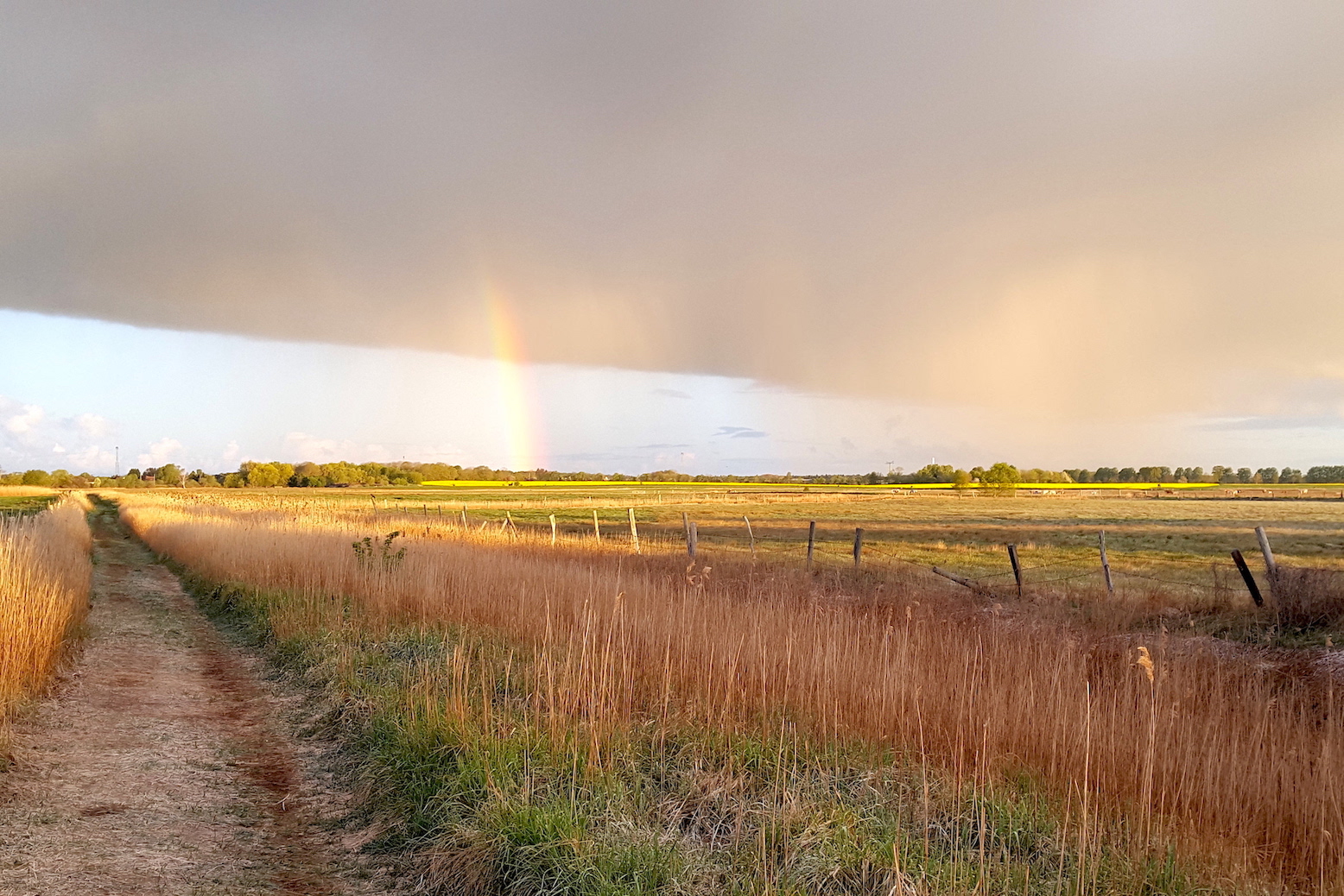 Regenbogen