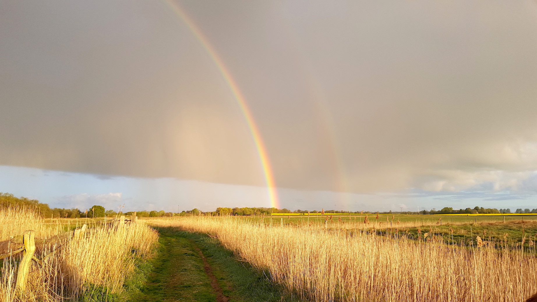 Regenbogen