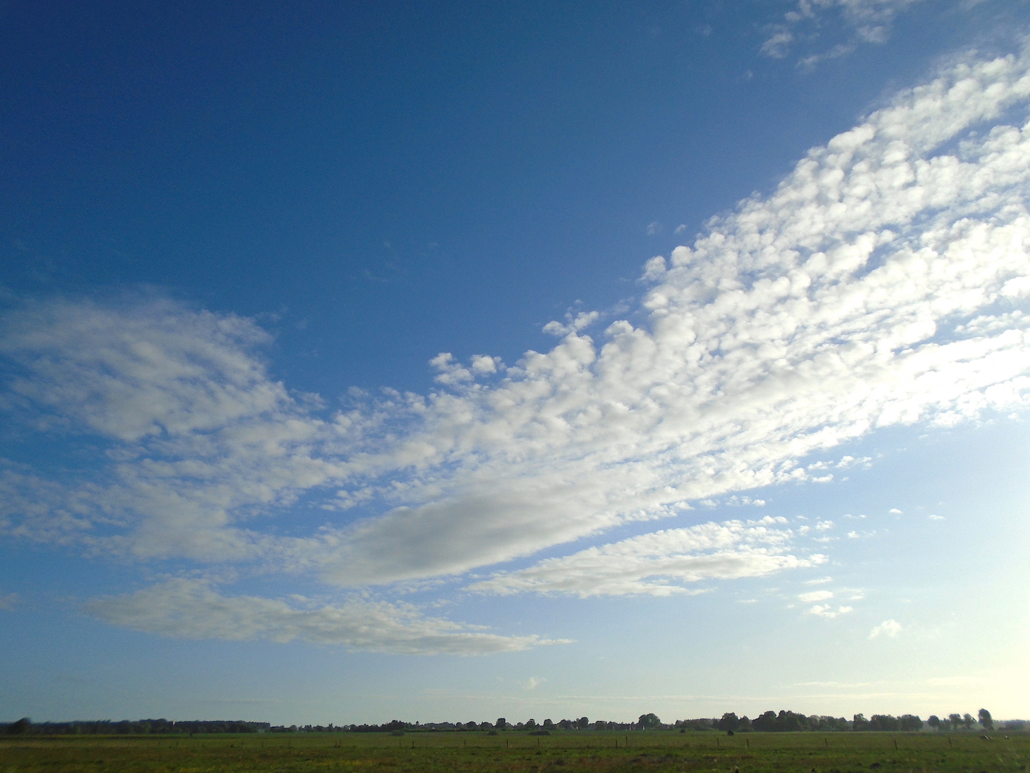 Himmel über den Salzwiesen