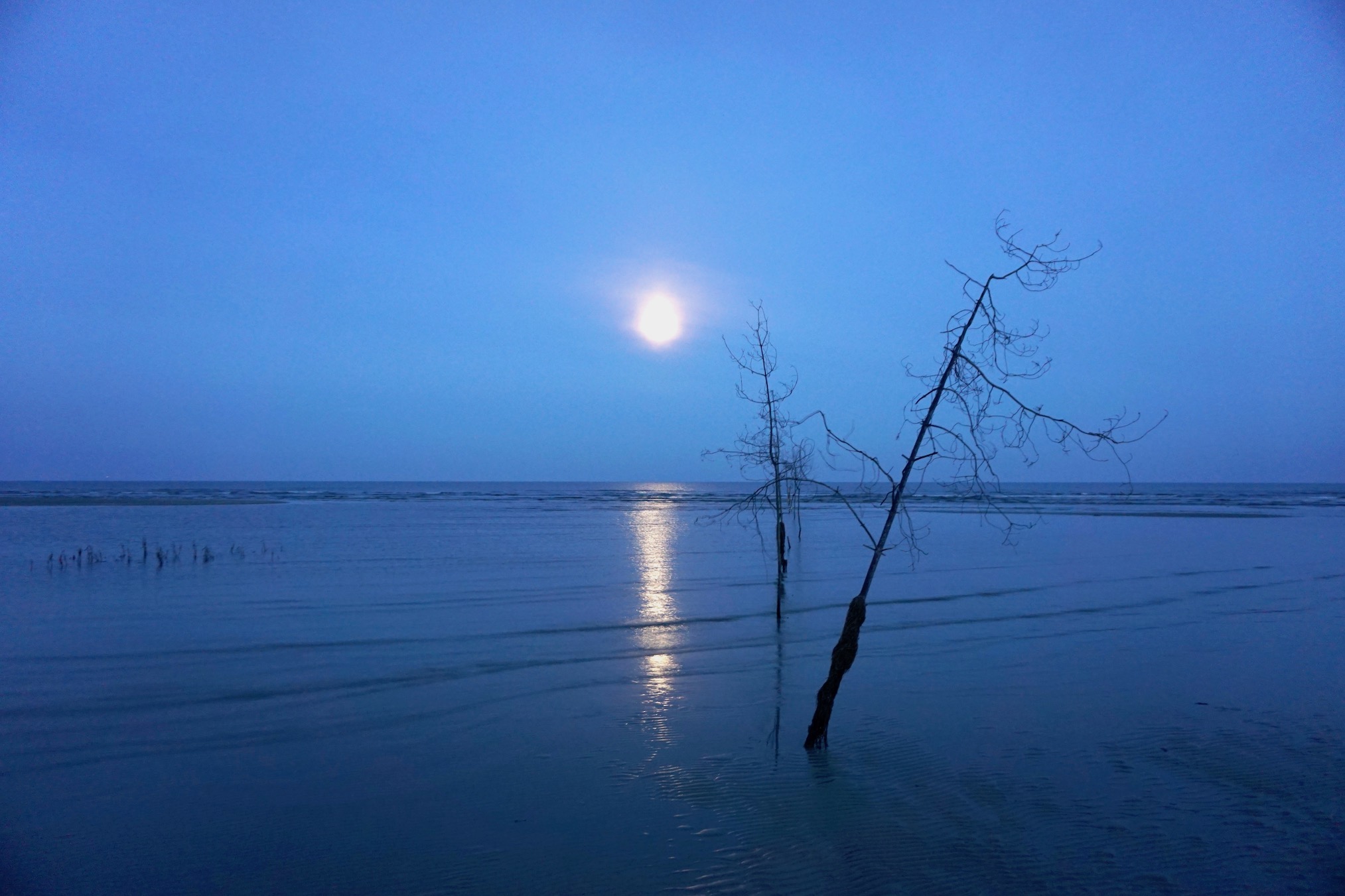 Himmel über den Salzwiesen