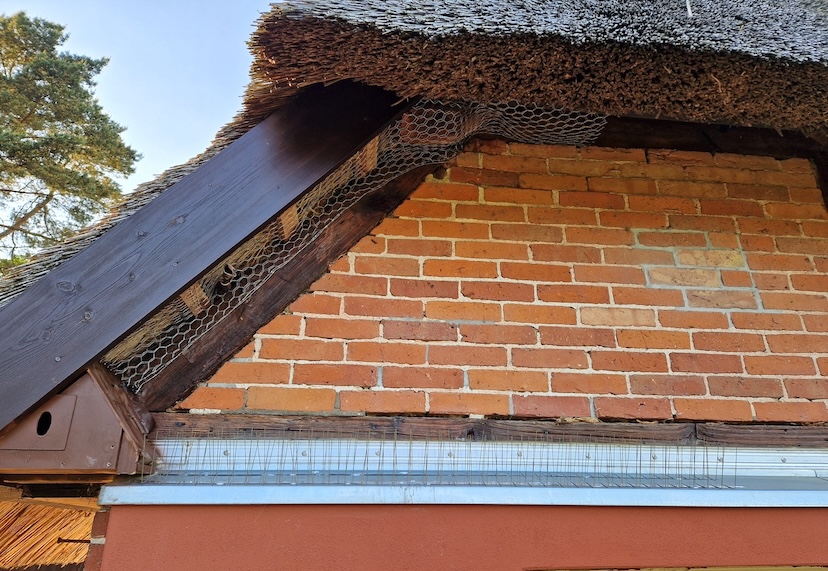 deterent for sparrows and other birds