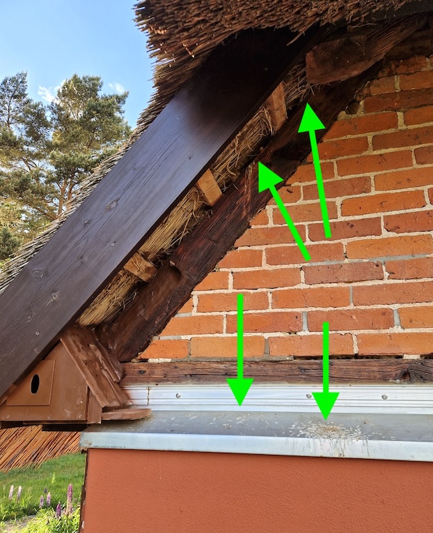 Recesses between thatch and beams