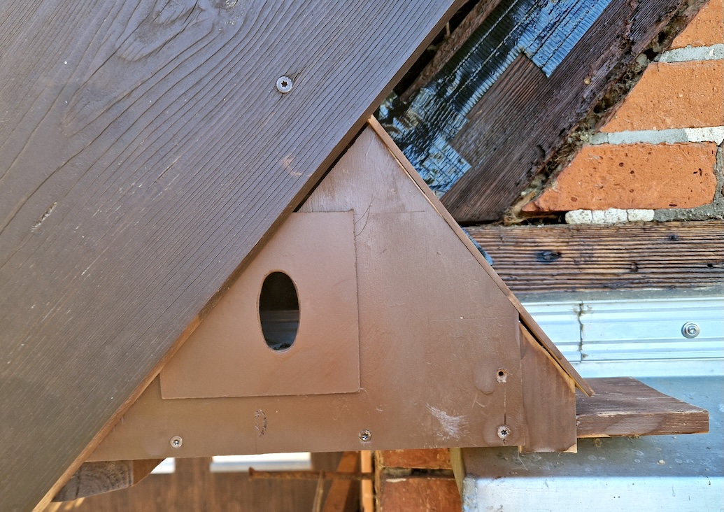 Photo of nest with oval aperture